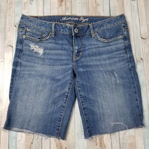 American Eagle Stretch Shorts